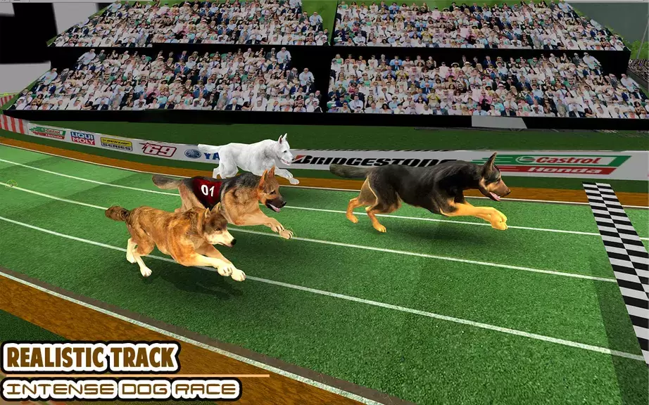 Dog racing games - dog game 3d 螢幕截圖 0