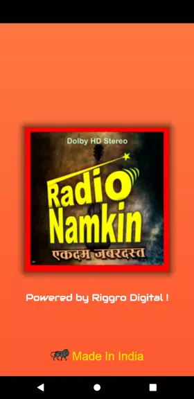 Radio Namkeen- FM Radio Online Скриншот 0