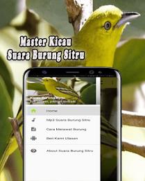 Suara Burung Sirtu Pikat MP3 Offline应用截图第0张