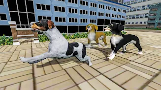 Help The Dogs- Save the Doggy Screenshot 2