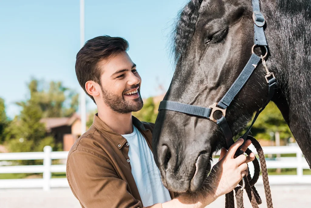 Equestrian Singles Скриншот 3