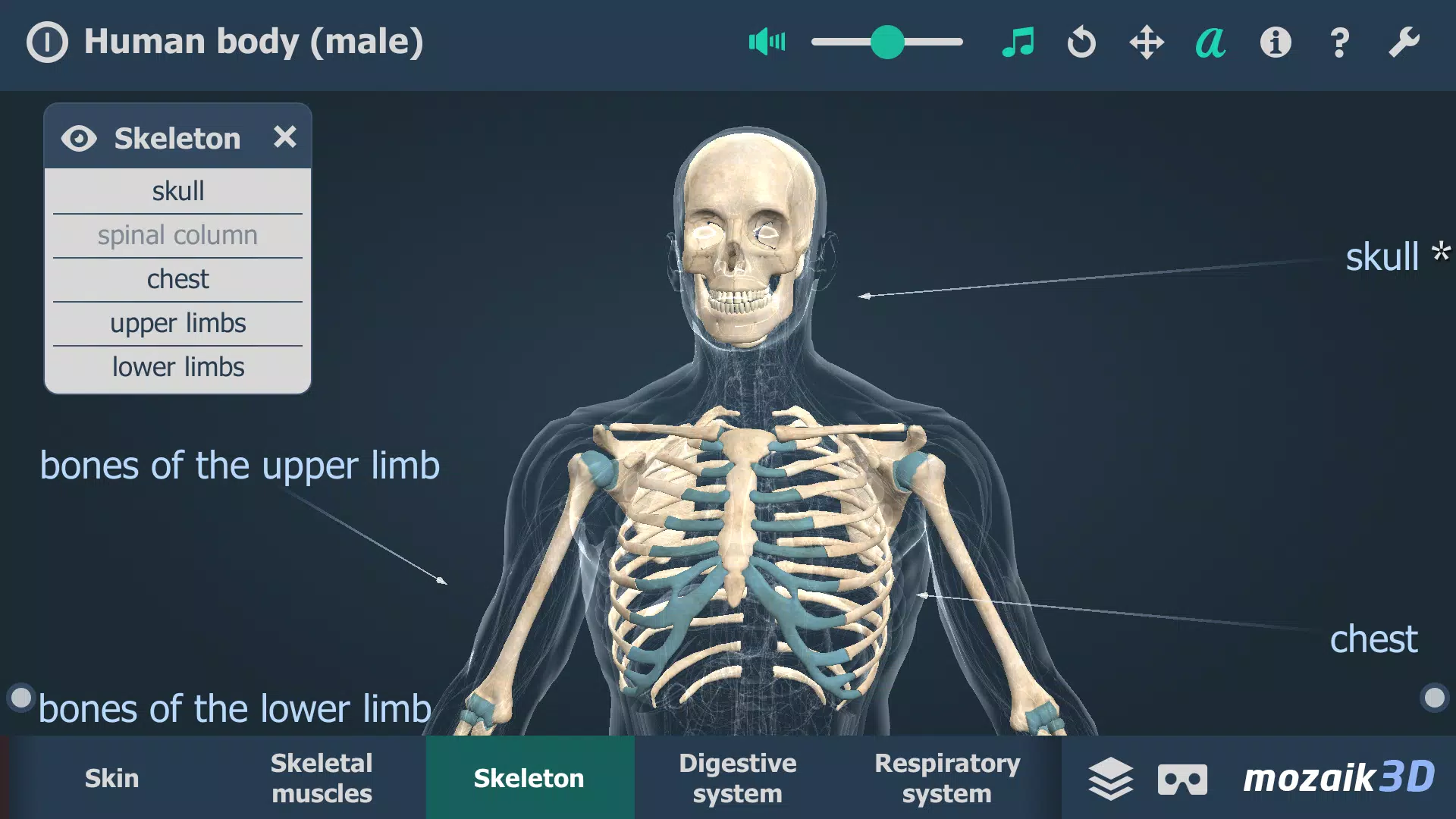 Le corps humain en 3D Capture d'écran 2