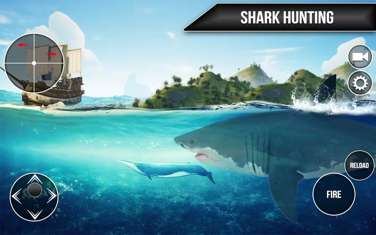 Wild Shark Fish Hunting game Captura de pantalla 3