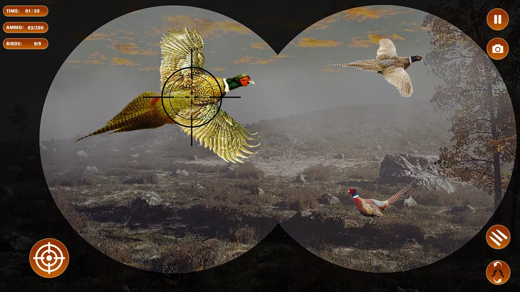 Pheasant Shooter Birds Hunting Скриншот 0