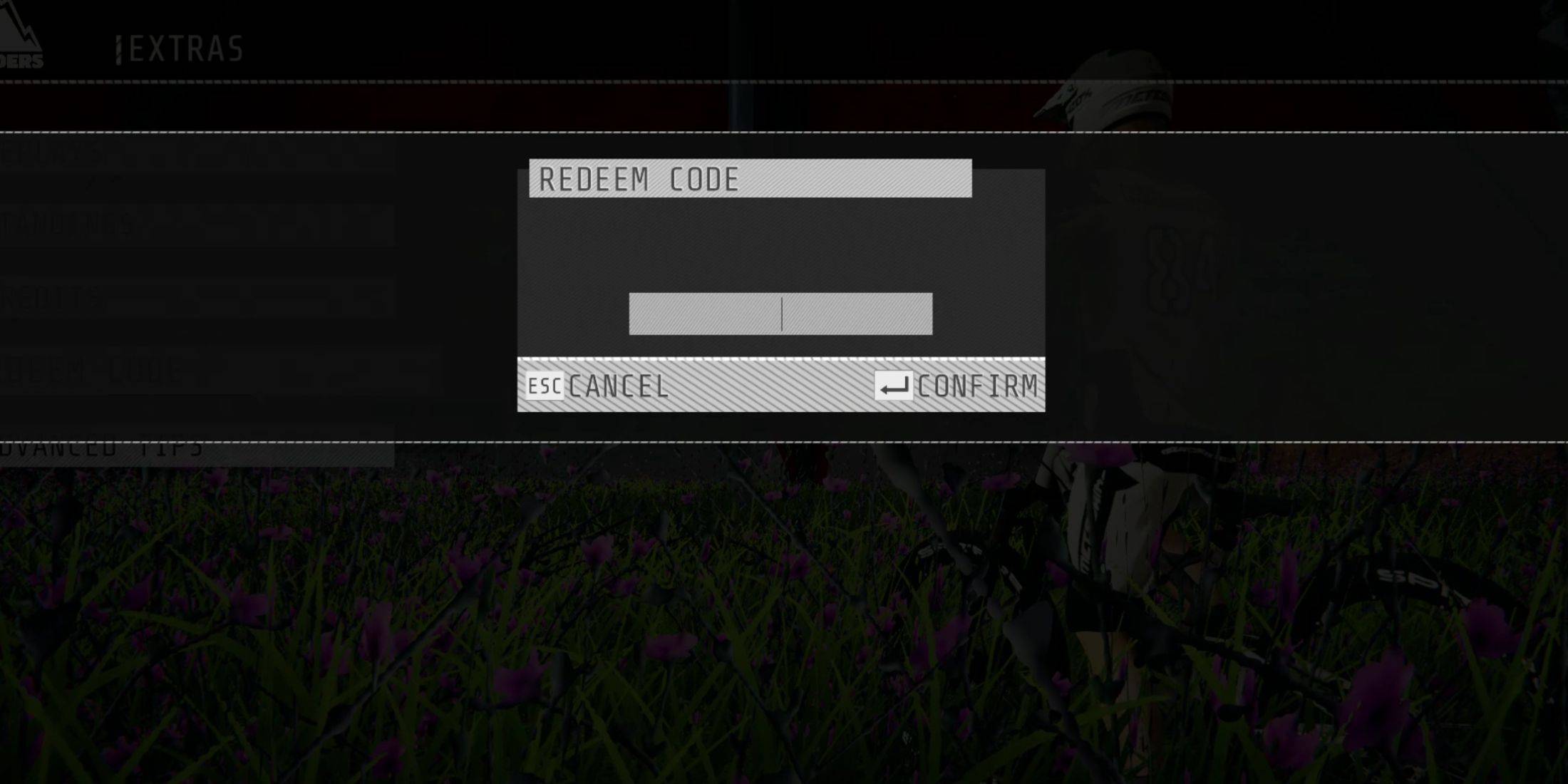 Descenders Code Redemption Interface