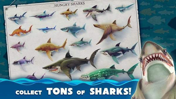 Hungry Shark World Ảnh chụp màn hình 0