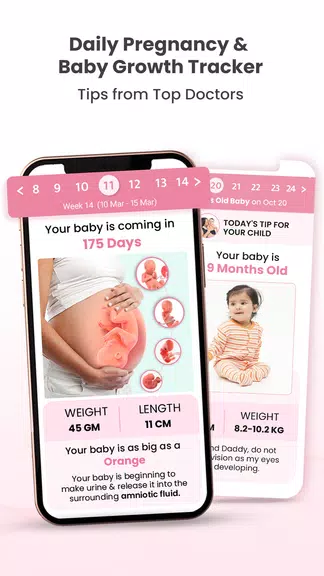 Healofy Pregnancy & Parenting Ảnh chụp màn hình 1
