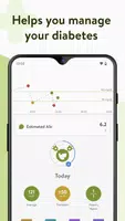 The Diabetes App 螢幕截圖 0