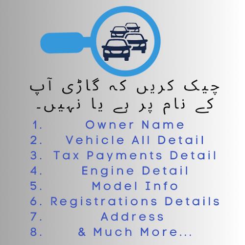 Vehicle Verification Pakistan Скриншот 0