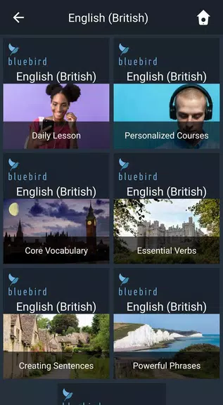 Learn British English. Speak B ภาพหน้าจอ 0