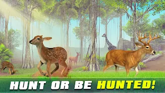 Safari Animal Hunter Simulator スクリーンショット 3