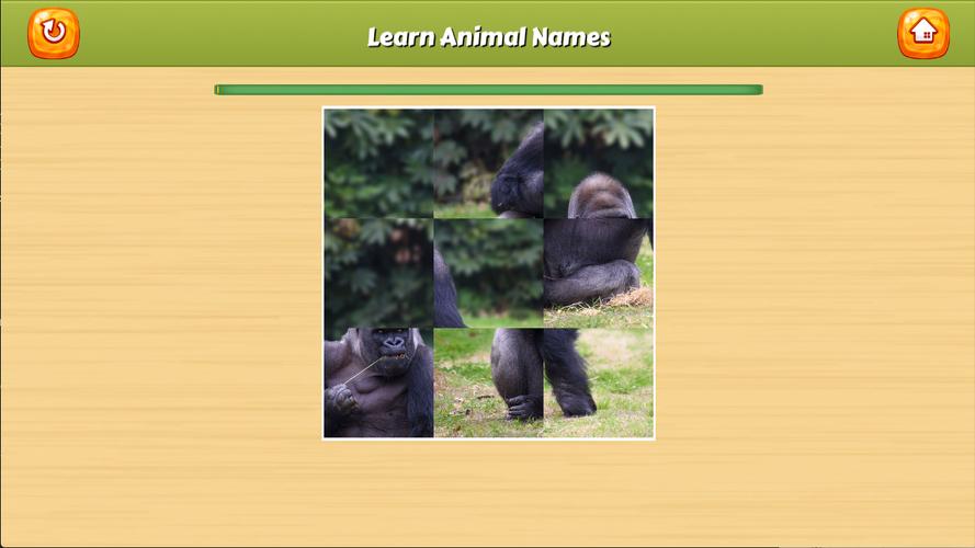 Learn Animal Names Zrzut ekranu 3