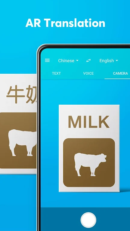 Dear Translate Captura de pantalla 0