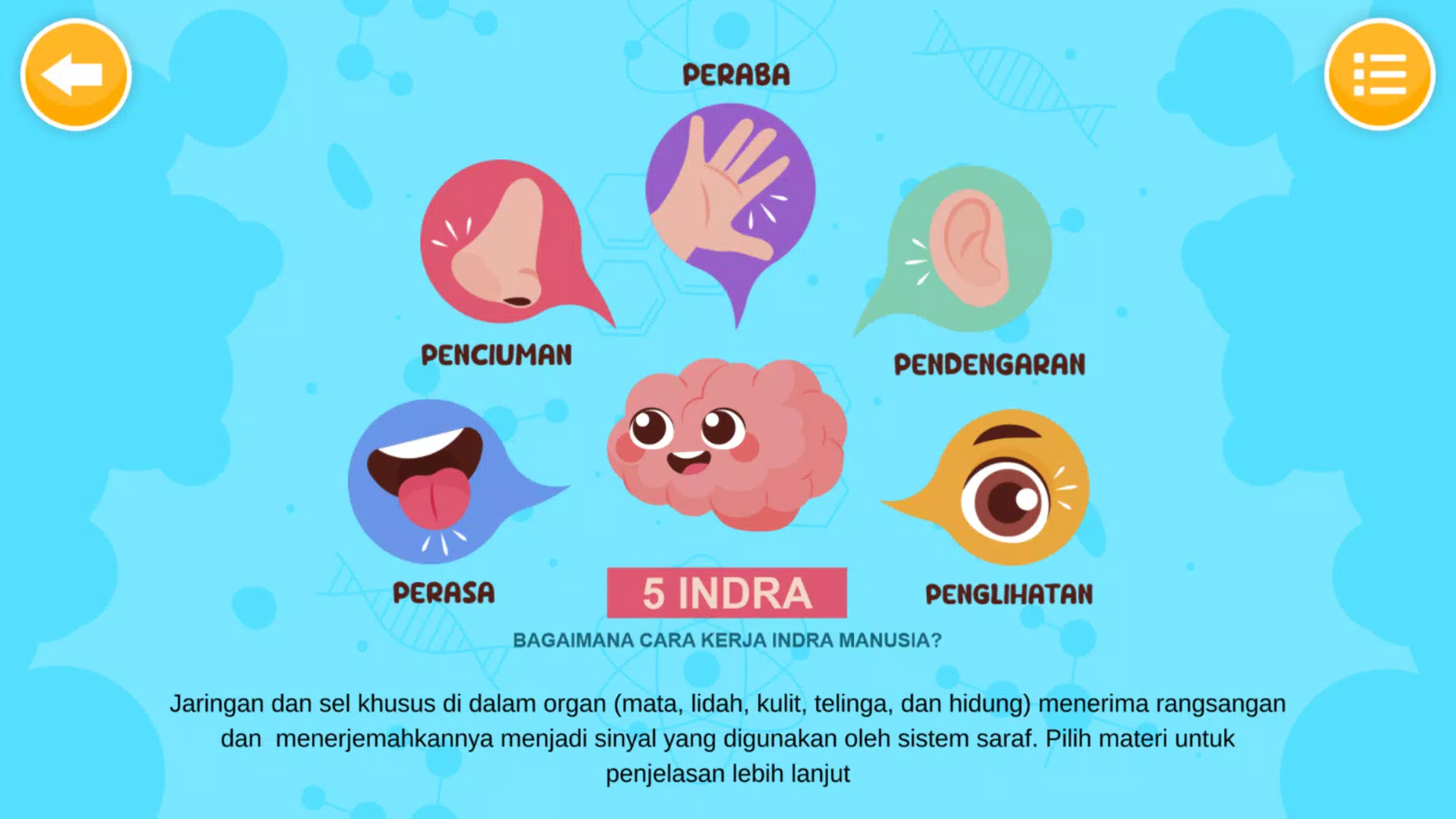 Sistem Indra Manusia Zrzut ekranu 1