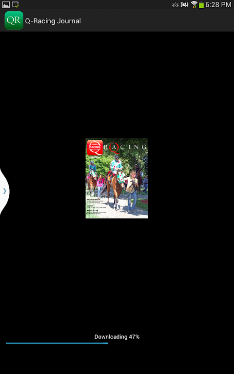 Q-Racing Journal Captura de pantalla 1