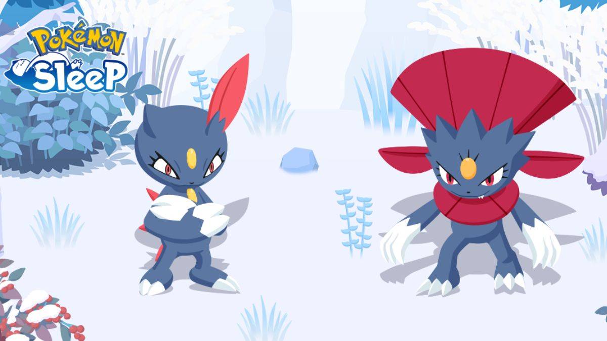 Schalte Sneasel und Weavile in Pokémon Sleep frei