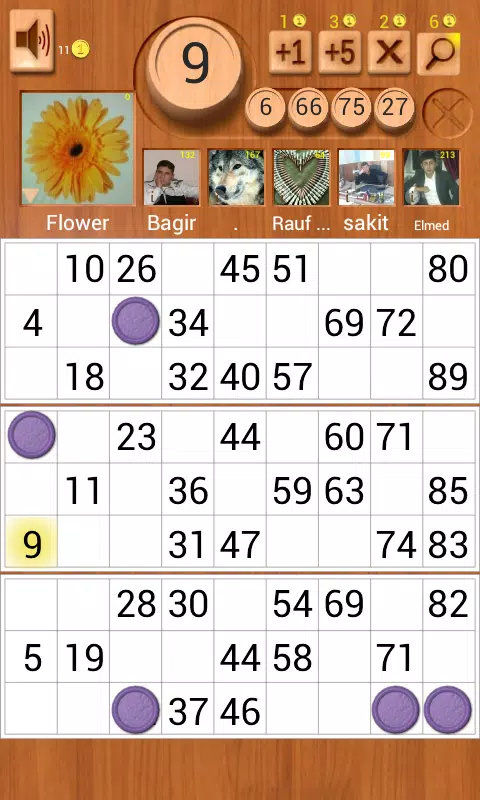 Loto Online 螢幕截圖 0
