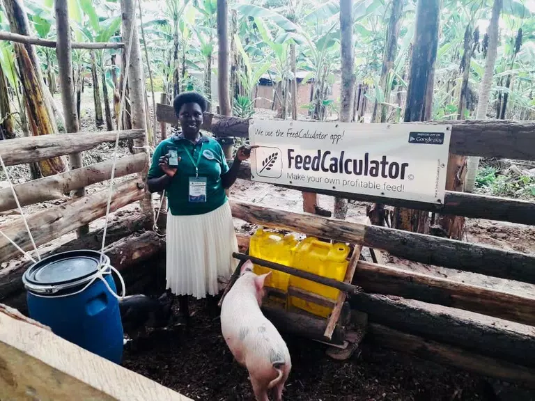 Feed Calculator for livestock Ảnh chụp màn hình 1