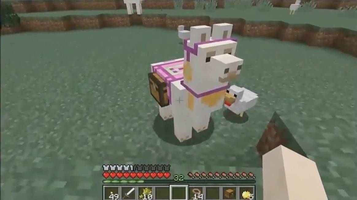 Llamas ở Minecraft