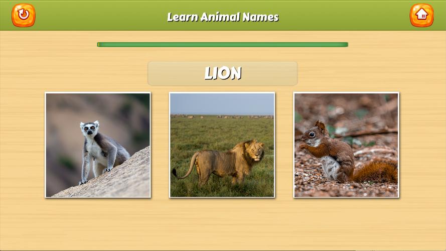 Learn Animal Names Ekran Görüntüsü 2