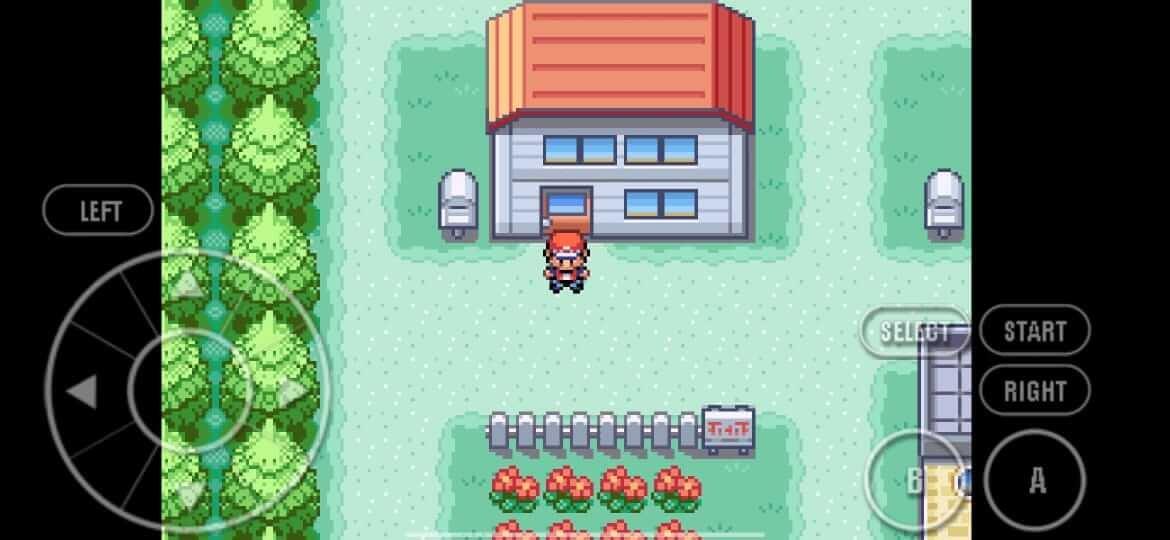 Pokemon Fire Red Zrzut ekranu 0