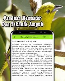 Suara Burung Sirtu Pikat MP3 Offline应用截图第3张