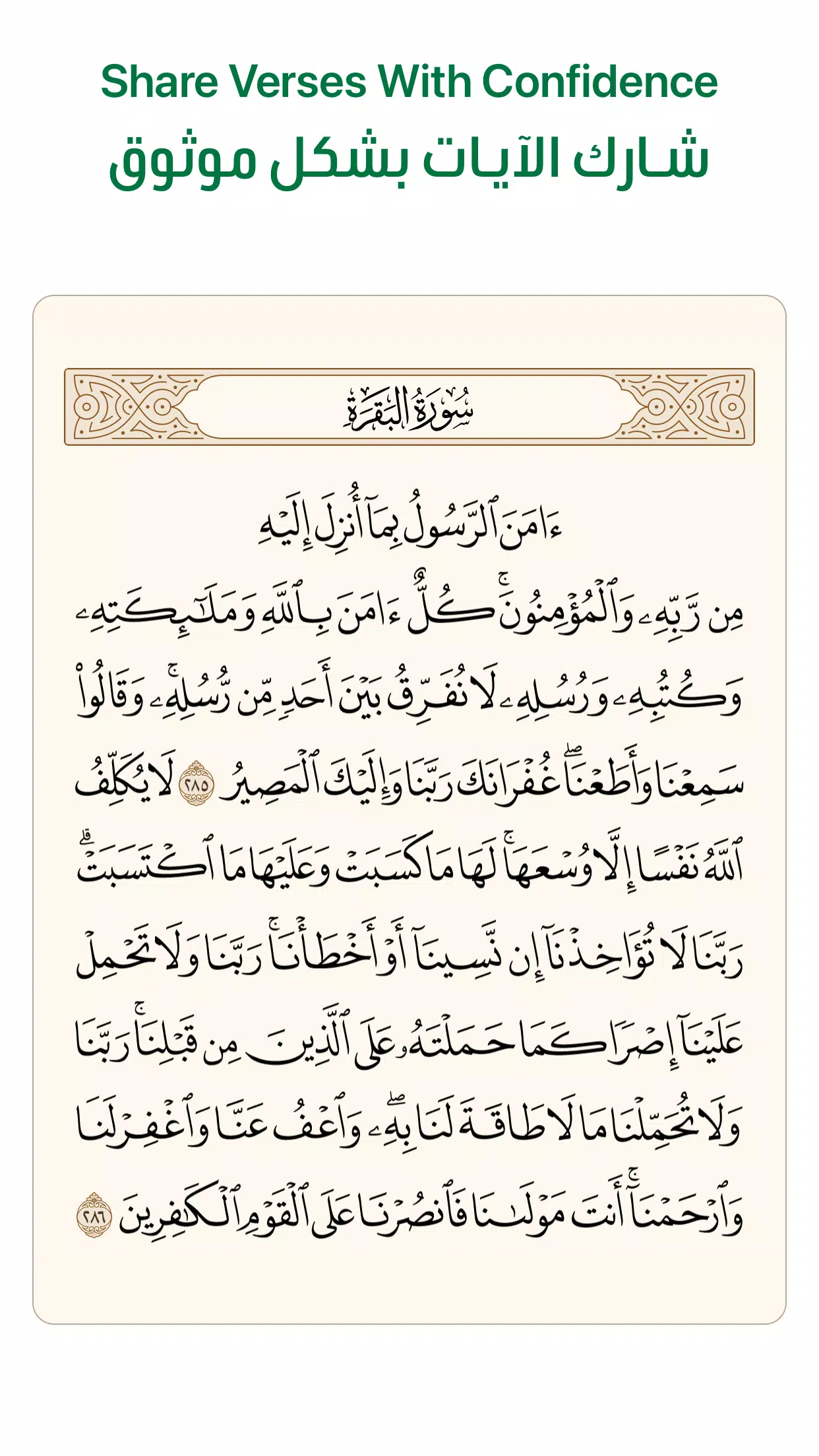آية - تطبيق القرآن الكريم Captura de tela 3