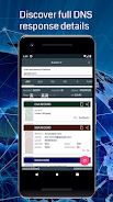DNSDig - DNS lookup online Screenshot 0