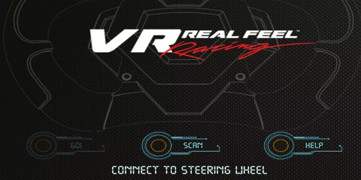 VR Real Feel Racing Zrzut ekranu 0