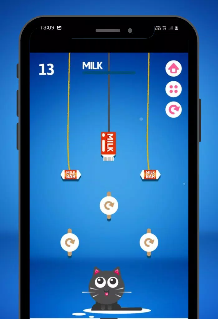 Feed the Kitty Cat Game Ekran Görüntüsü 2