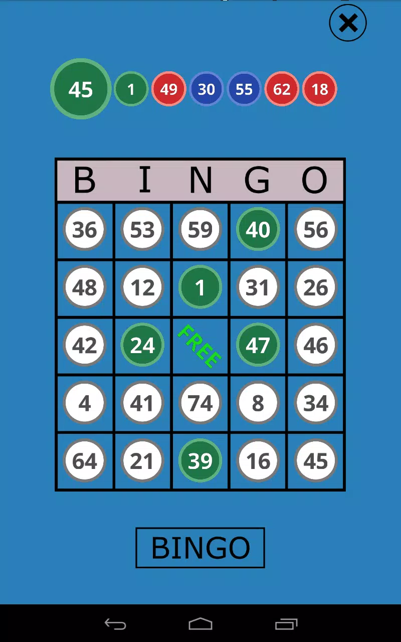 Classic Bingo Touch Tangkapan skrin 3