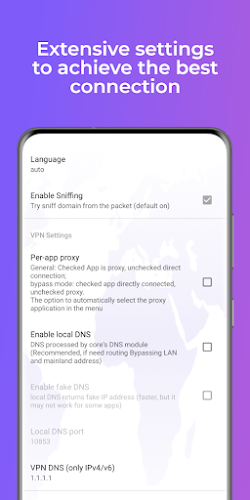 Lena VPN - Fast & Secure VPN Screenshot 2