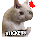 Cat Memes Stickers WASticker