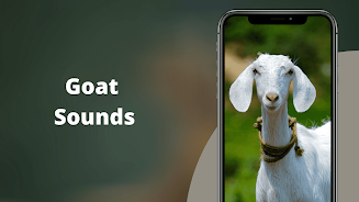 Goat Sounds Ảnh chụp màn hình 0