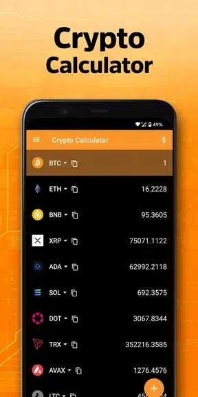 Crypto Calculator Zrzut ekranu 2