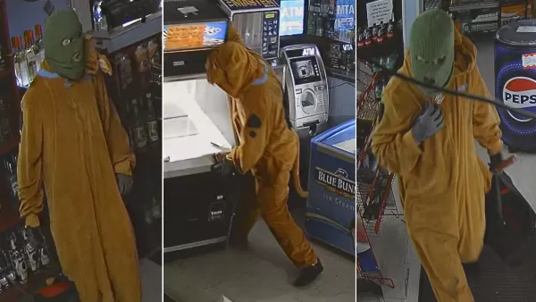 Scooby-Doo Sought in Shop Burglary, Cash Missing