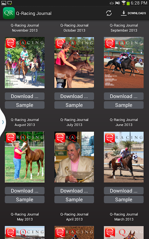 Q-Racing Journal Captura de pantalla 0