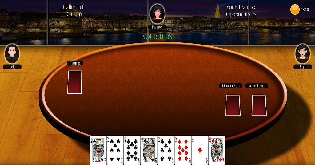 29 Card Game Lite स्क्रीनशॉट 2