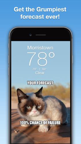 Grumpy Cat Weather Ảnh chụp màn hình 0