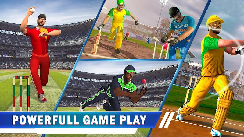 World Cricket Match Game Screenshot 1