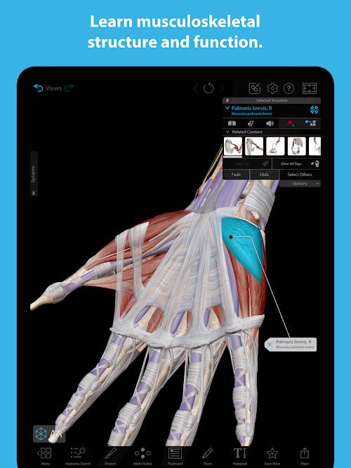 Human Anatomy Atlas 2023应用截图第3张