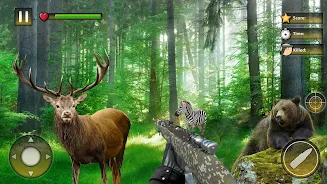 Wild Animal Hunting Games ภาพหน้าจอ 0