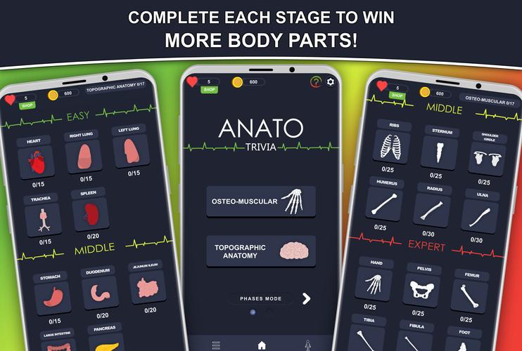Anato Trivia Скриншот 2