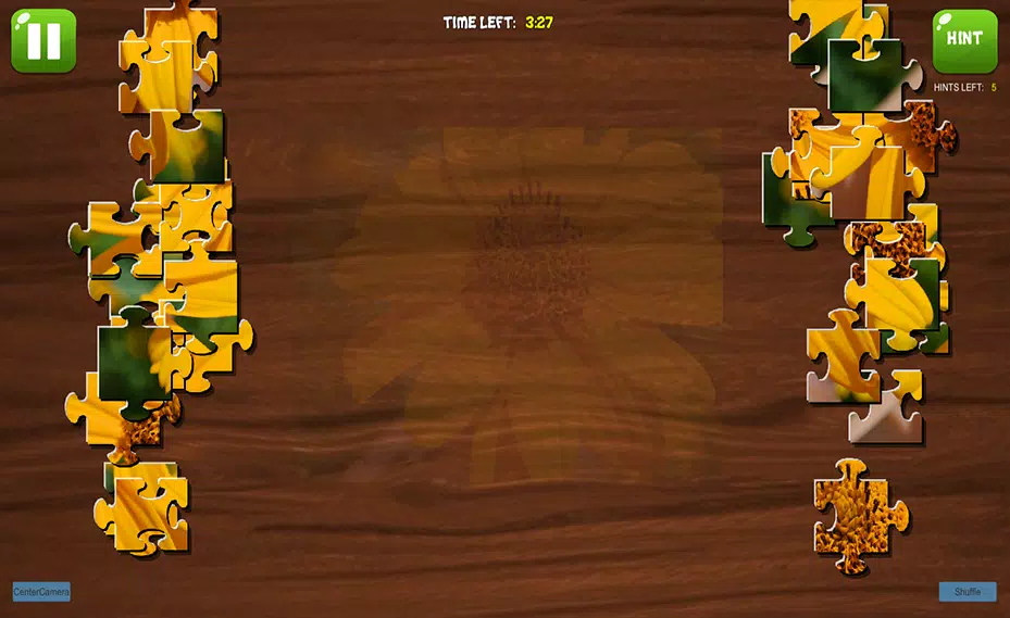 Complete the Canvas Puzzle Captura de tela 2