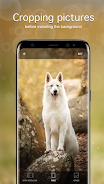 Dog Wallpapers & Puppy 4K Screenshot 3