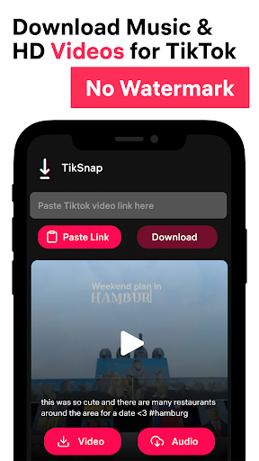 TikSnap: Downloader for TikTok Captura de tela 0