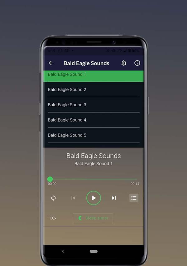 Bald Eagle Sounds 螢幕截圖 0