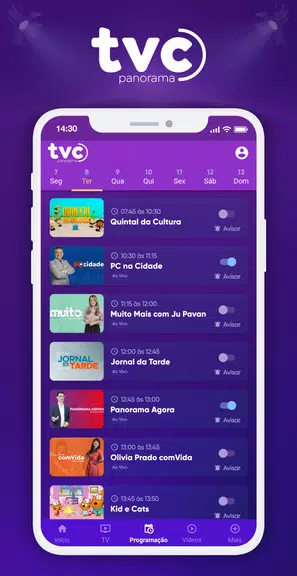 Schermata TVC  Panorama 2