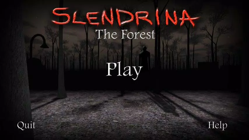 Slendrina: The Forest Tangkapan skrin 0