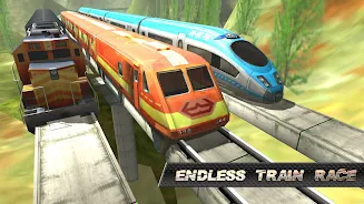 Train Race স্ক্রিনশট 3